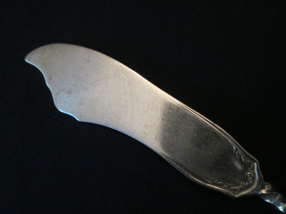 MASTER SPREADER! Vintage Wm ROGERS ONEIDA silverplate: ABINGTON pattern: LOVELY