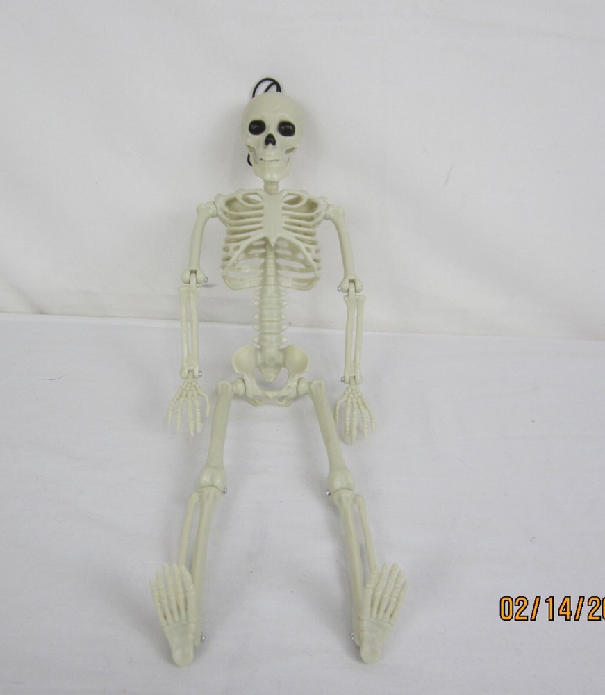 Halloween 14" Hanging Posable Skeleton