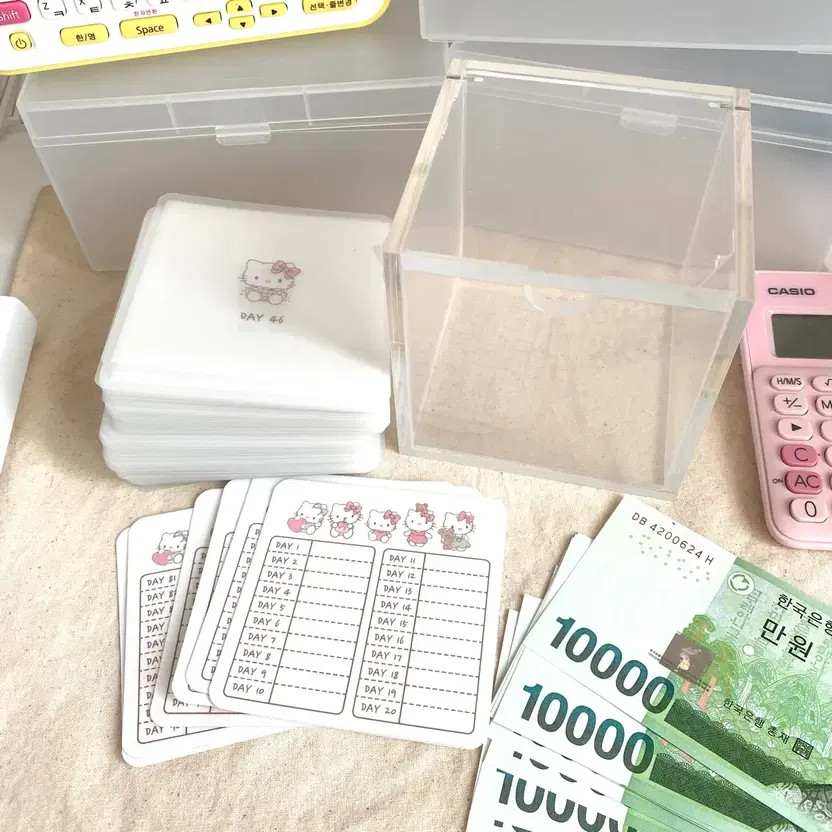 Kitty 100-Day Savings Challenge + Saving Box