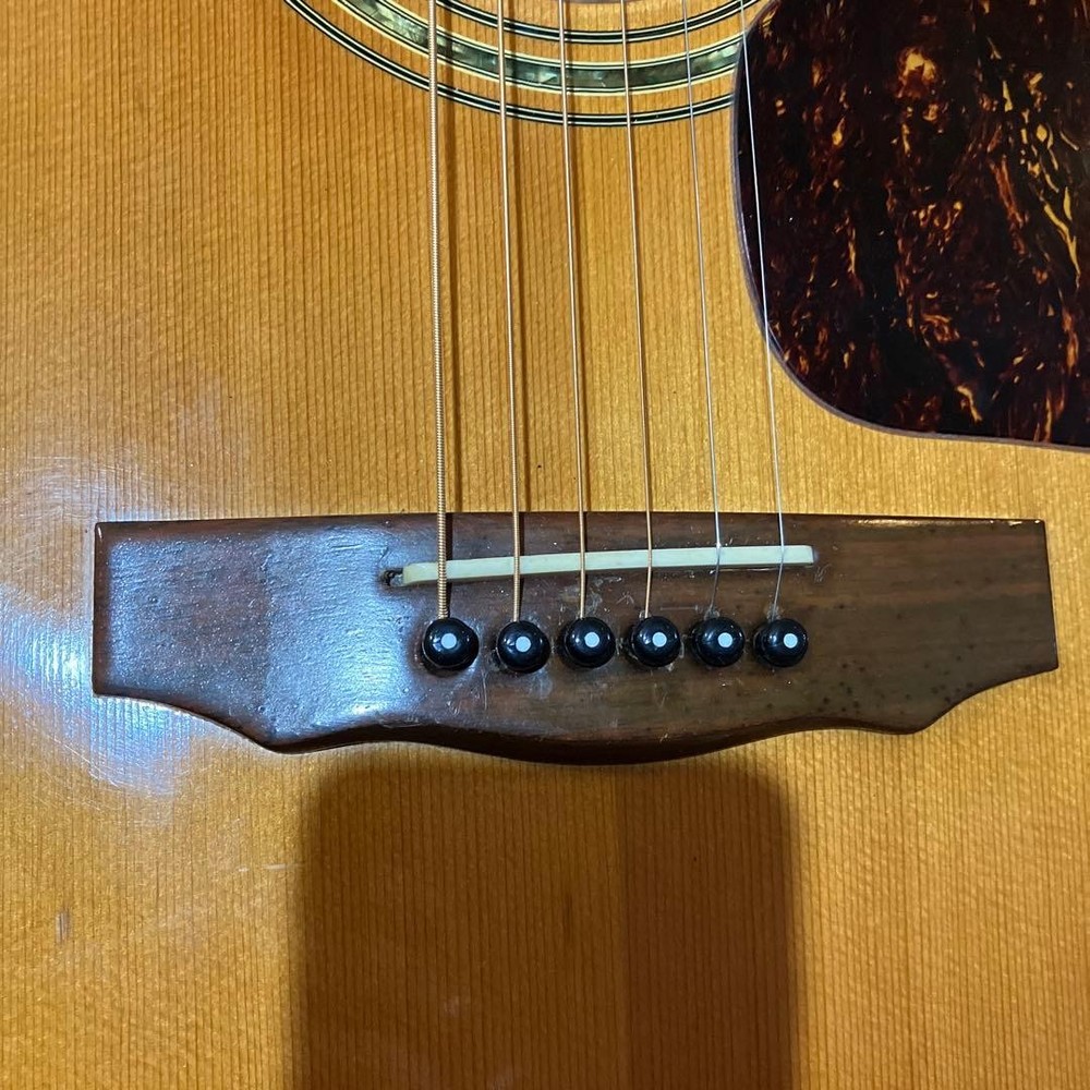 Mysterious Domestic Guild Model