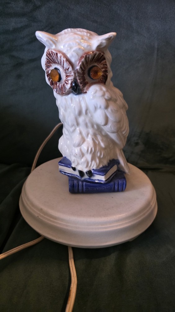 Vintage owl night light with glowing eyes