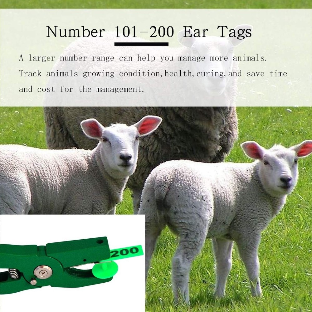 Efficient 200-Pack Livestock Ear Tags - Robust Plastic for Animal Marking