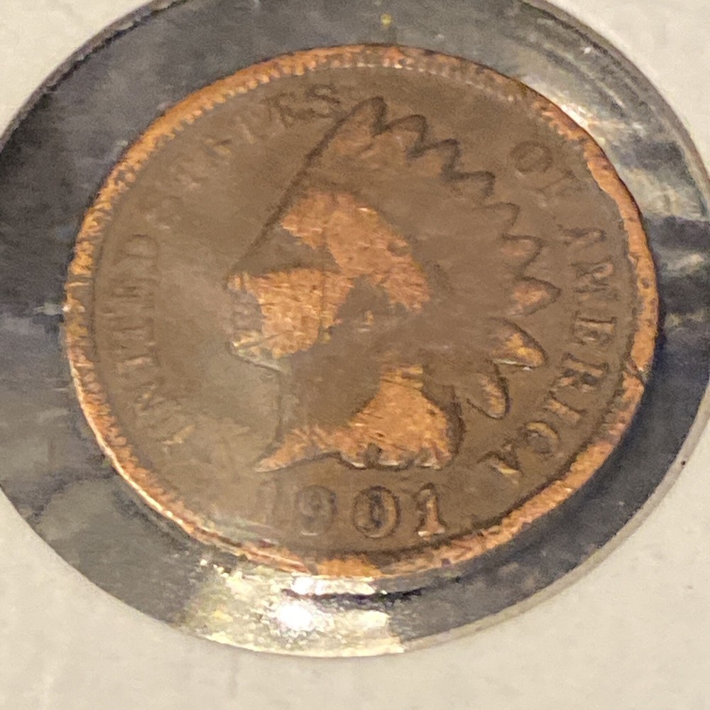 1901 indian head cent• #230207