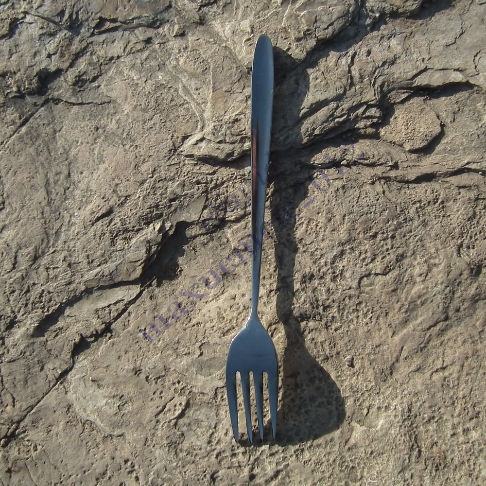 Spoon fork flatware dinerware cutlery outdoor kitchen top grade LW