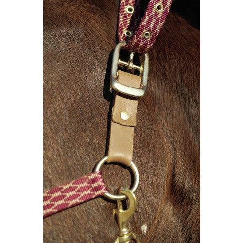 Centaur Leather Breakaway Fuse