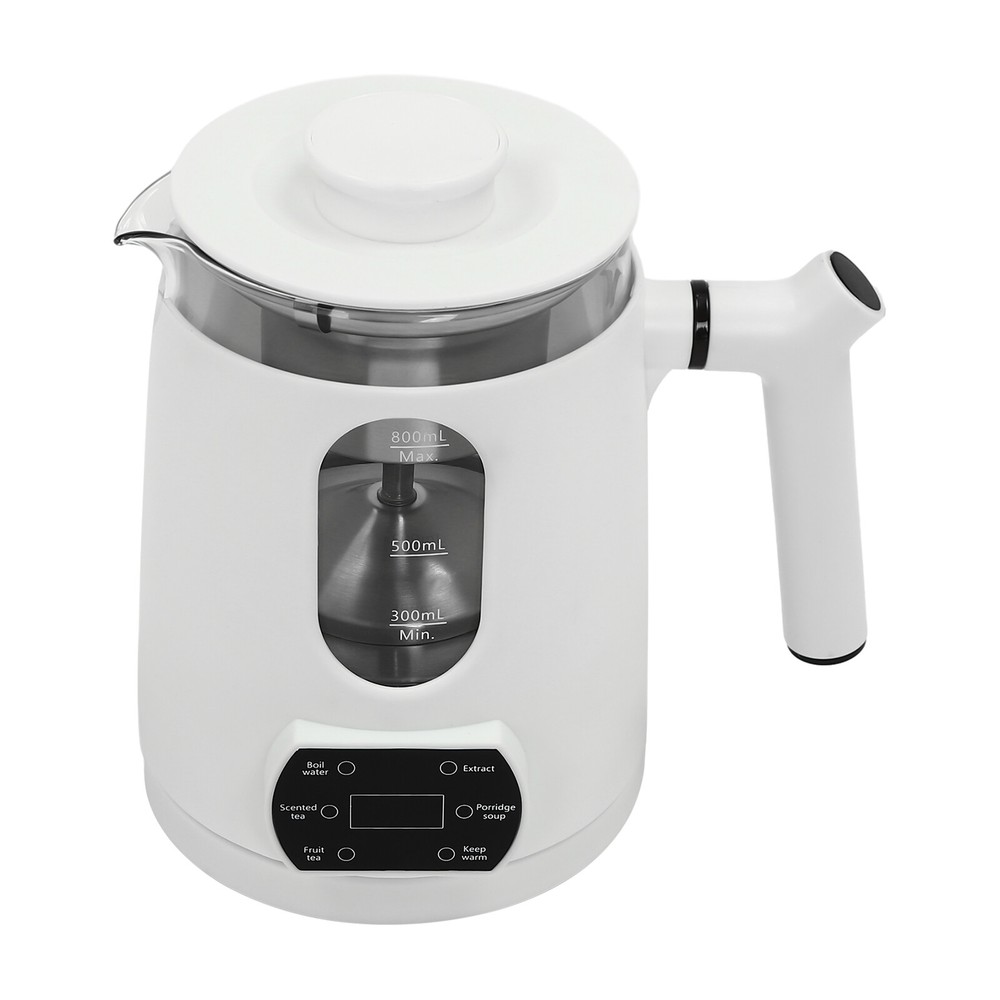 6 Functions Temperature Control Electric Tea Kettle With Tea Steamer Mesh White