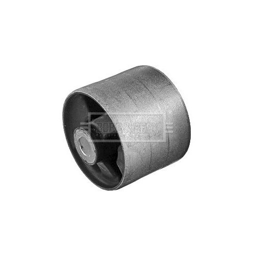 BORG & BECK Mounting, control/trailing arm BSK7798