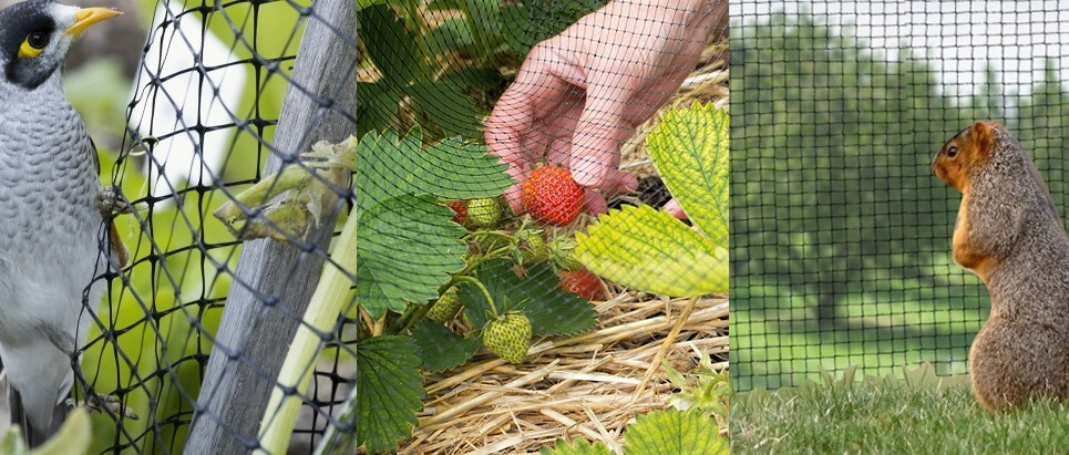 NEW BULK 2" Pond Cover Leaf Netting 50'x100' Durable Polyethylene MESH