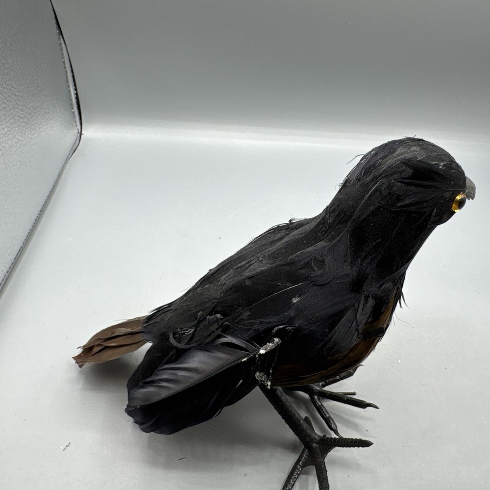 5 PCS Black Feathered Crows Halloween Ravens