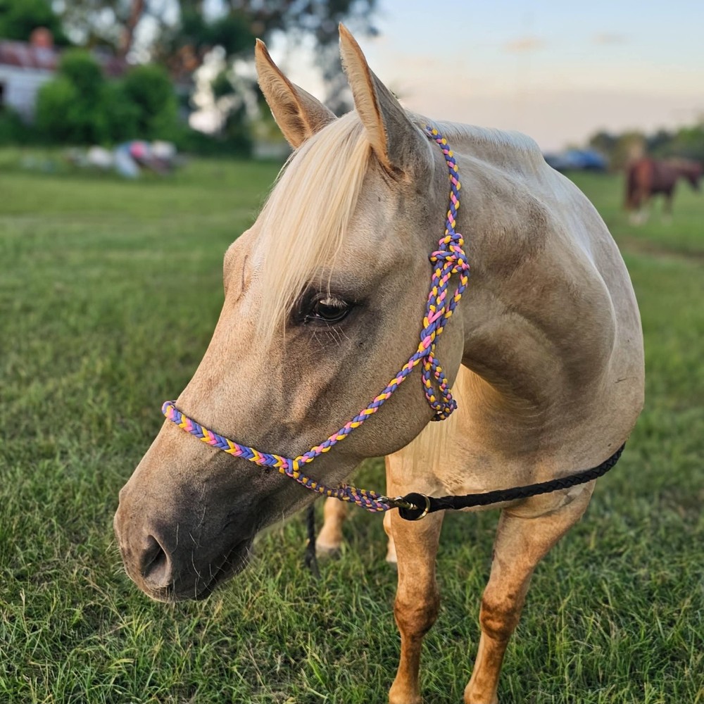 Paracord Braided Rope Halter