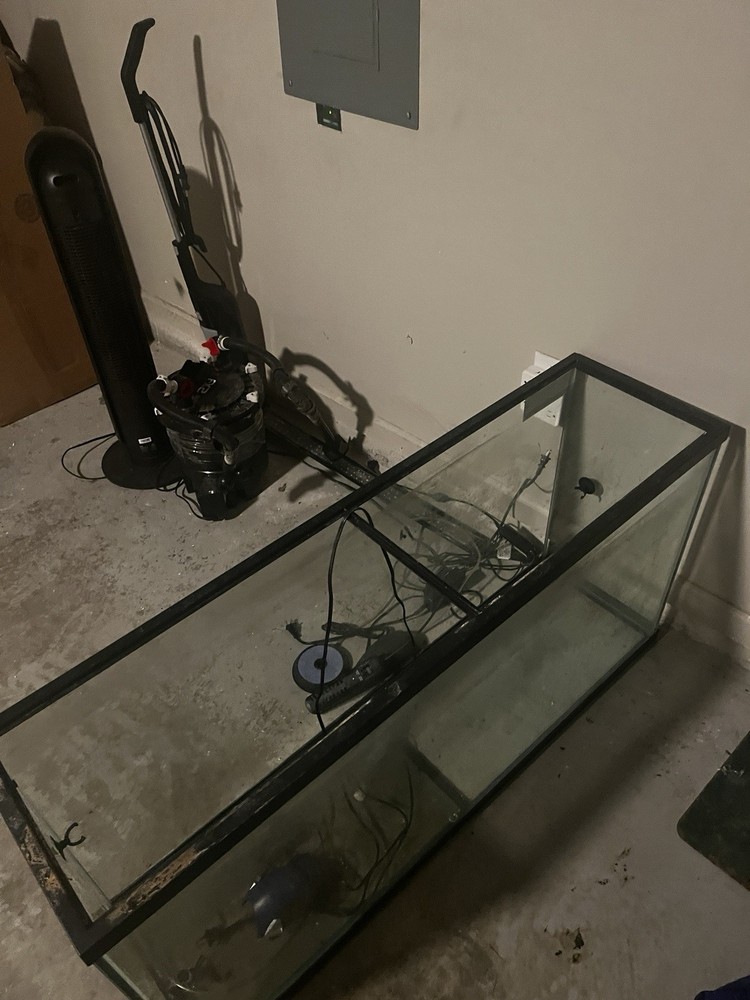Rectangular Glass Aquarium Tank, Glass Material, Tank Only