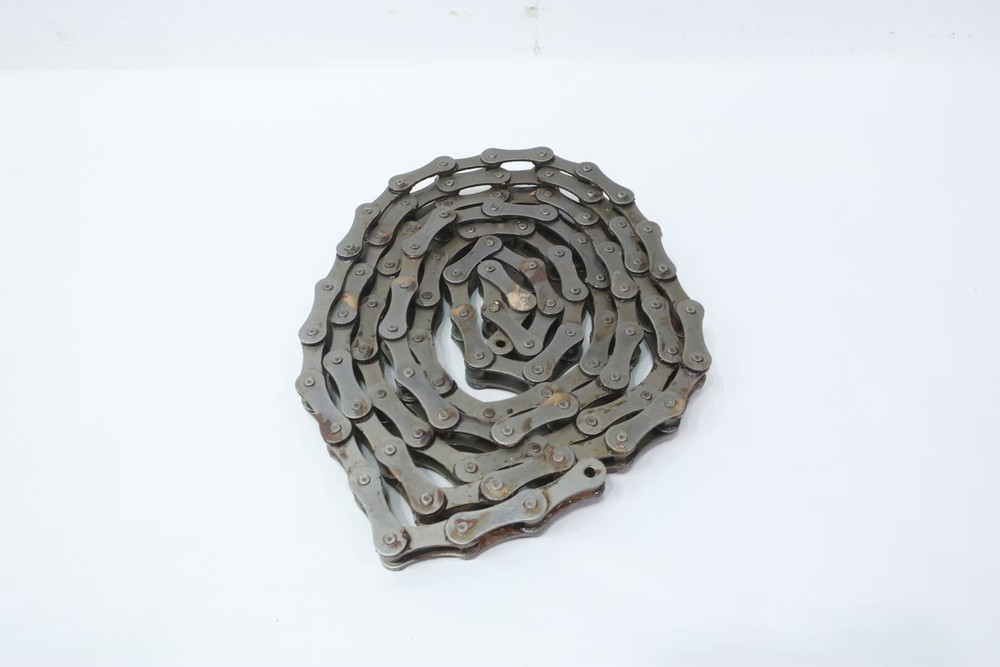 Morse 2050R Single Roller Chain 10ft