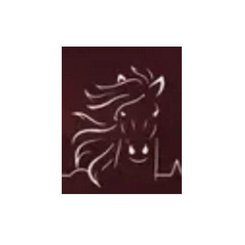 Long Sleeve Tee Shirt