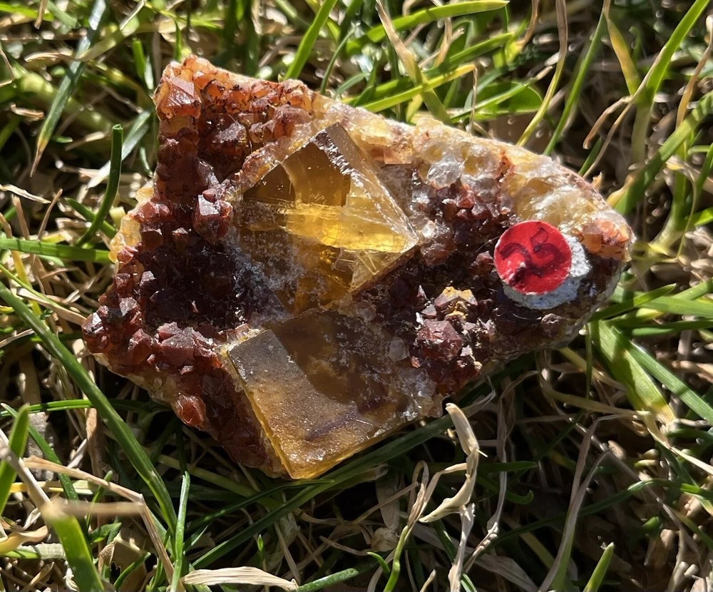 Yellow Cubic Fluorite With Garnet
