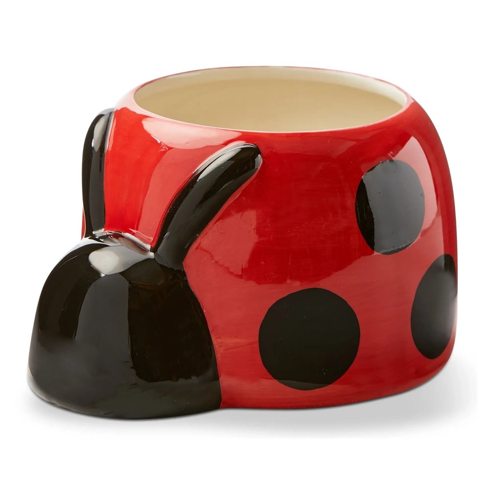 TAG - Everyday - Ladybug 4" Planter - G21118