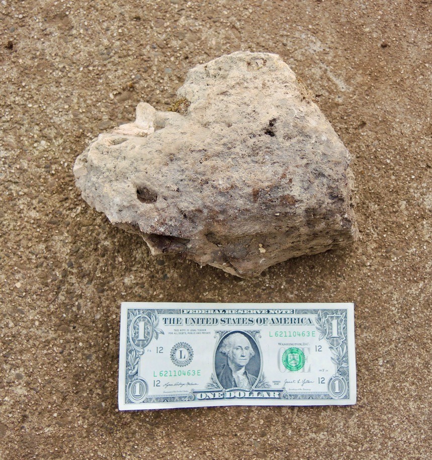 Medium Pumice Stone Volcanic Rock