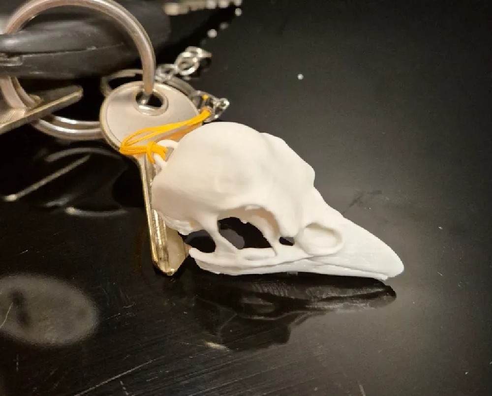 Raven Skull Replica