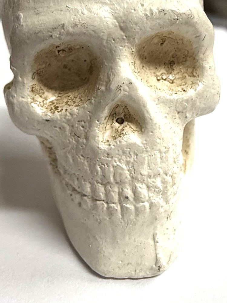 vintage skull Small head Chalkware 1 5/8” White
