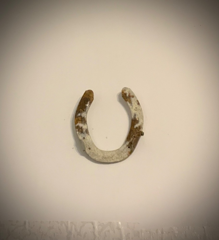 Authentic Lucky Horseshoe