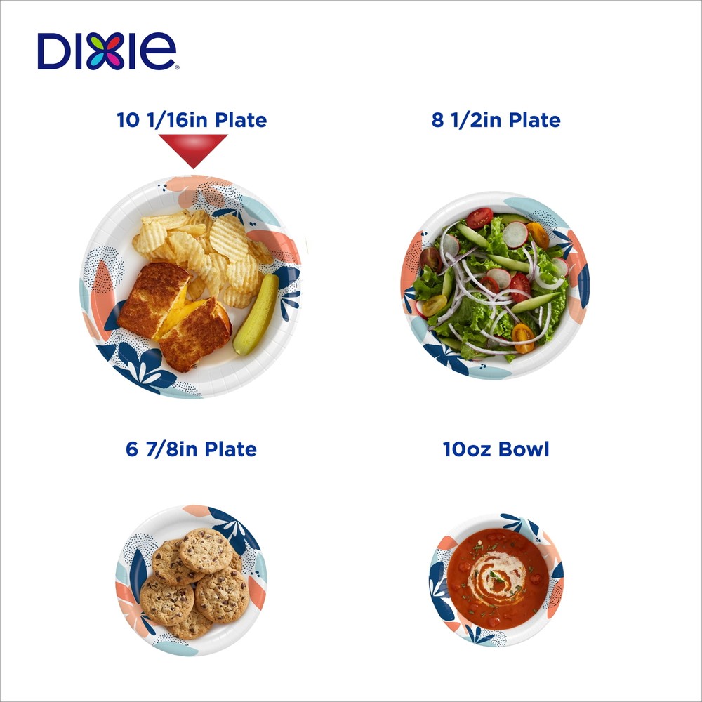 Disposable Paper Plates, 10", Multi-Color, 100 Count