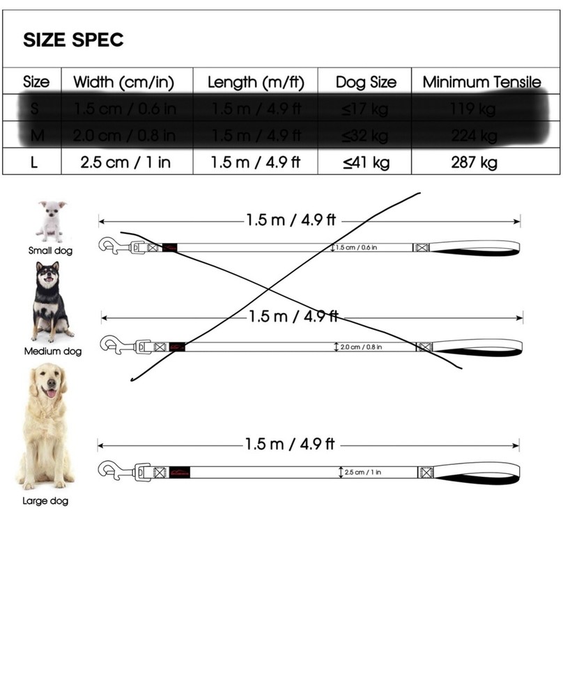 New Qinjianghe leash and collar set - Both Large