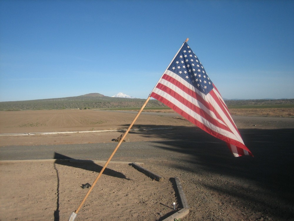 ACTION WRENCH GUNSMITH ENFIELD 17