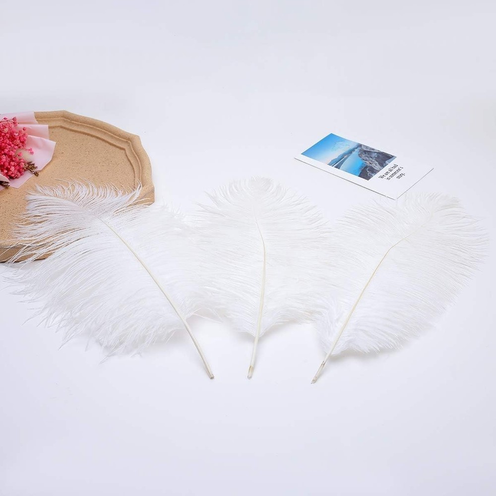 Luxurious Large White Ostrich Feathers - 24pcs for Weddings & Party Centerpieces