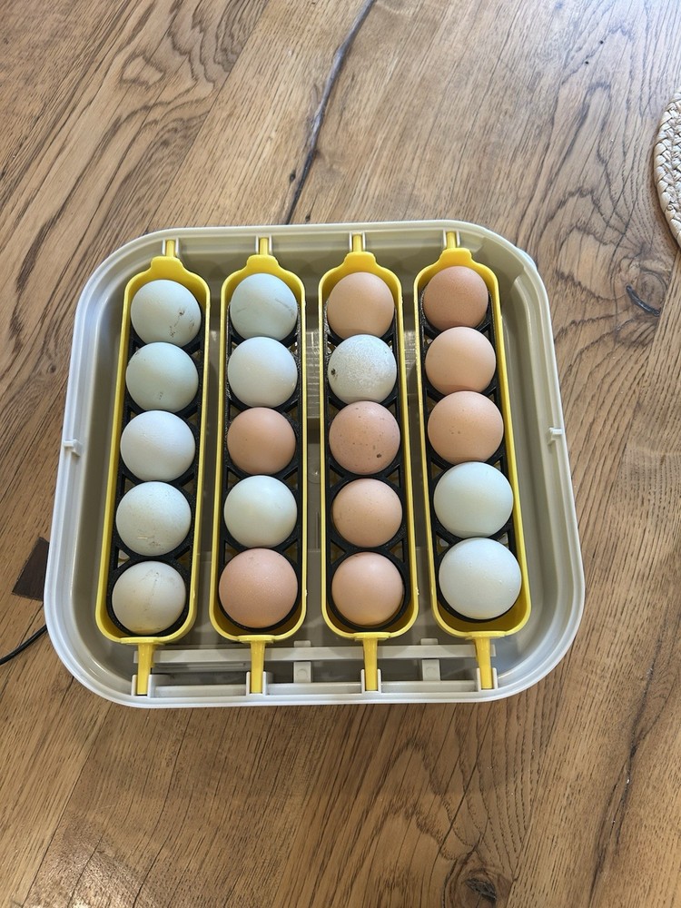 Maticoopx Egg Holder Insert