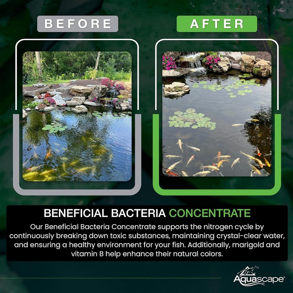 Beneficial Bacteria for Water Features
