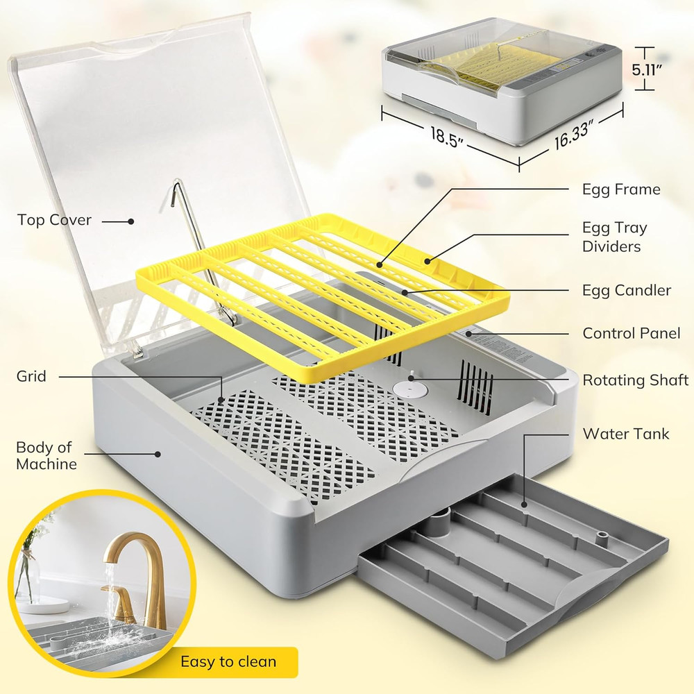 36-60 Egg Incubator with Automatic Egg Turning and Humidity Control, Chicken Egg