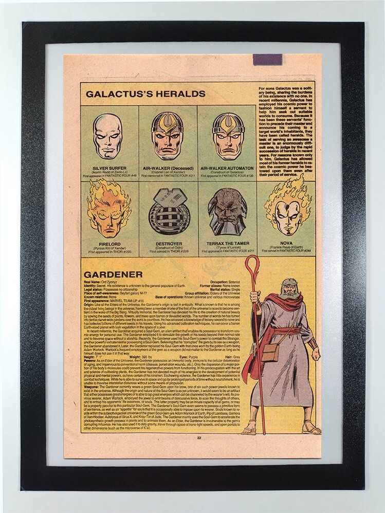 Galactus' Heralds - Silver Surfer - Handbook Marvel Universe - Framed Comic Page