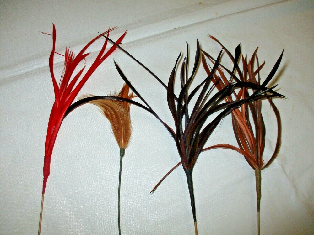 4 - Feather Picks - Fresh Impressions - 18" - 20.5"