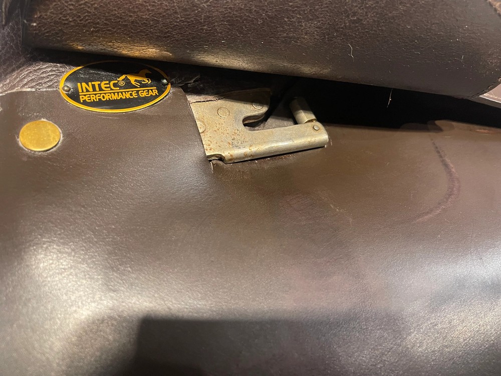 Intec Argentina Cutback 20in Saddle