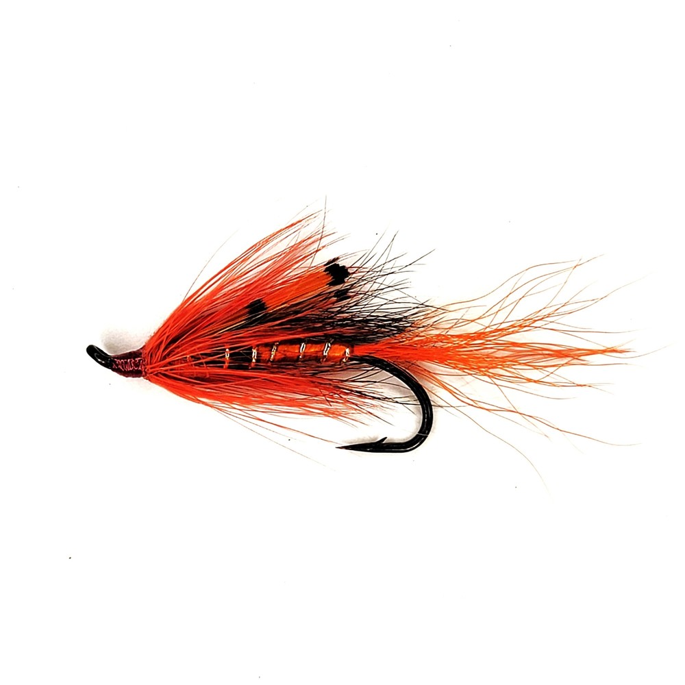 Ally's Shrimp Orange