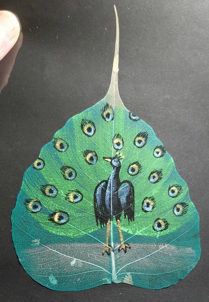 ⭐️GORGEOUS Hand Painted Peacock on Large Peepal Leaf⭐️