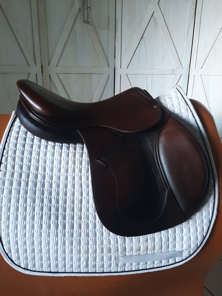 Antares Evolution Jump Saddle 17.5"
