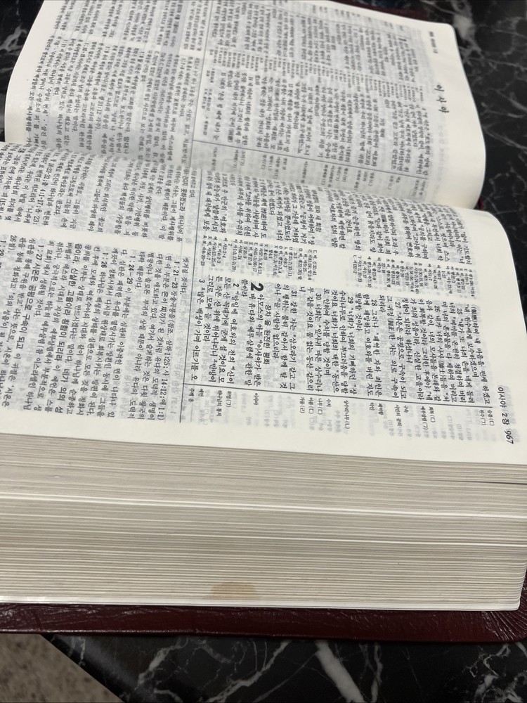Korean New Thompson Annotated Chain Reference Bible 100th Anniversary Edition