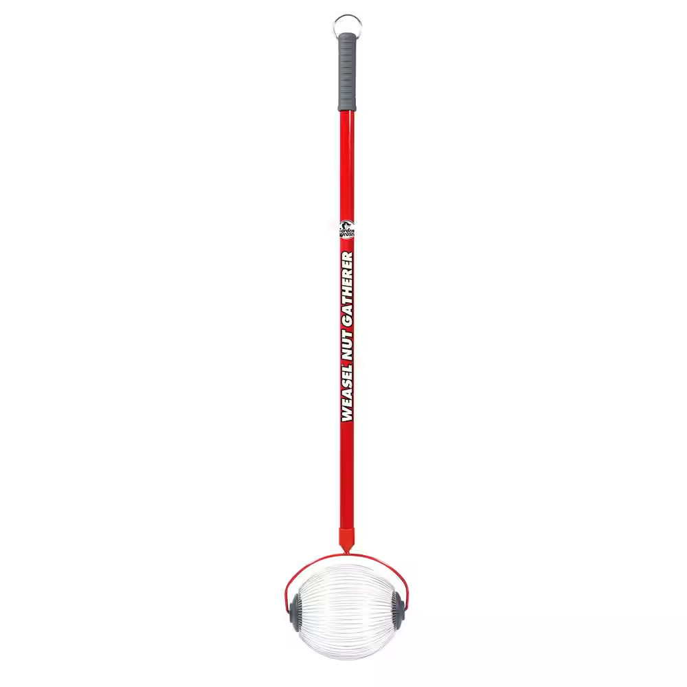 48 In. Weasel Medium Nut Gatherer with Smooth Rolling Cage