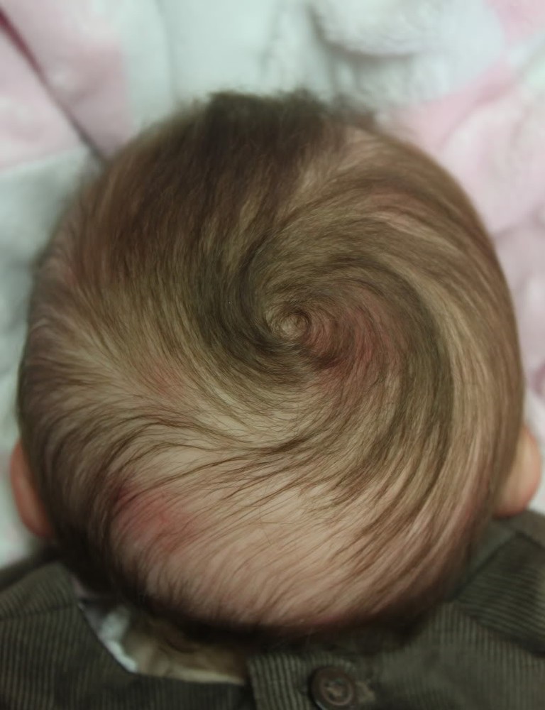 Reborn Rooting Tutorial for Professional Baby Doll Hair Instructions PDF