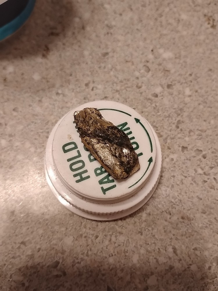 Native Platinum Nugget W/Quartz