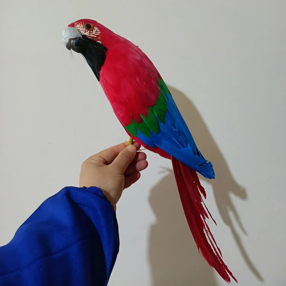 big red&blue parrot model foam&feather simulation bird gift about 45cm