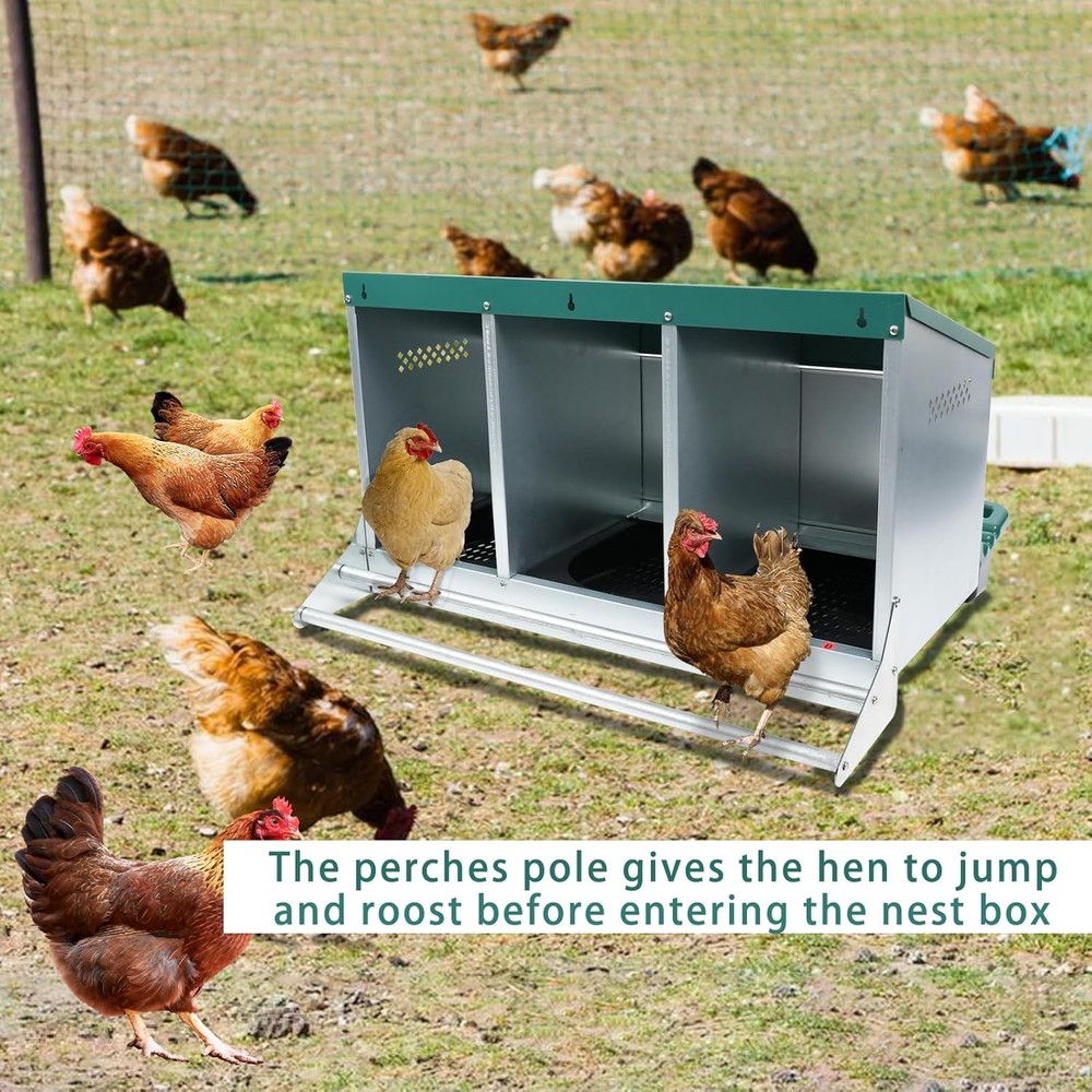 Chicken Nesting Box 3 Hole Metal