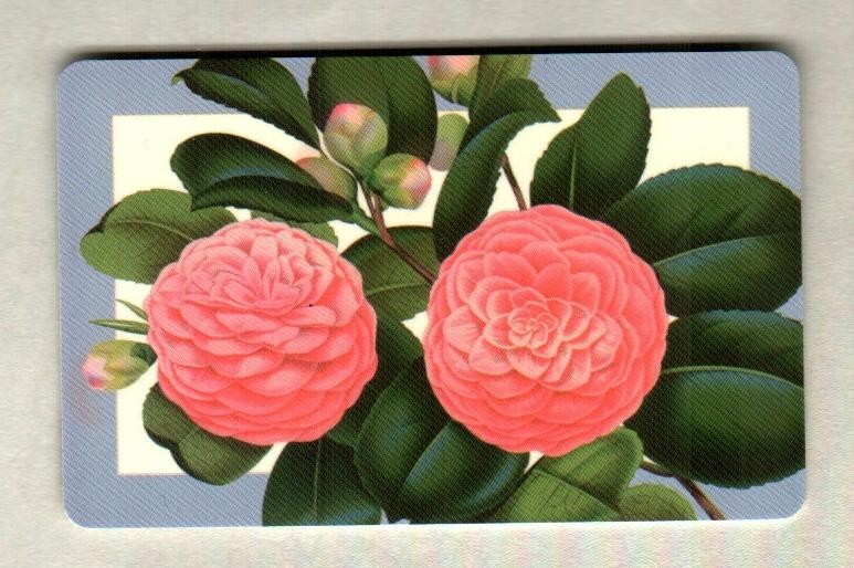 KIRKLAND'S HOME Peonies ( 2007 ) Gift Card ( $0 )