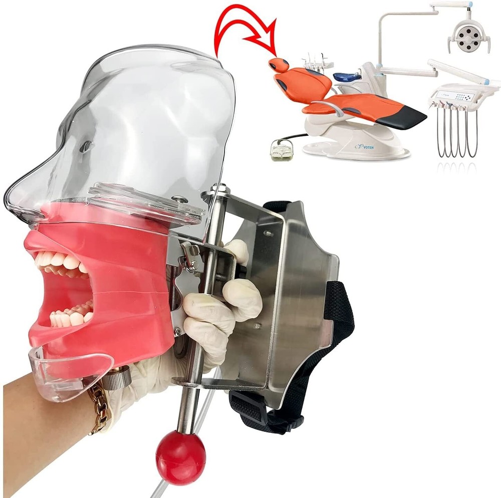 Student Dental Teaching Head Mold Oral Simulation Simple Head Mold Adjustment2pc