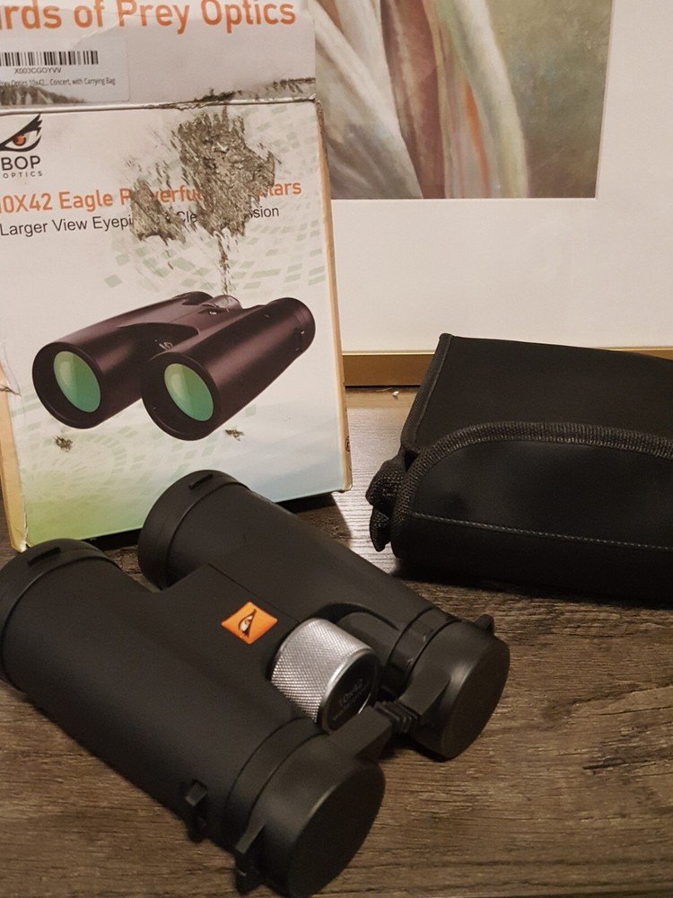 Bird Watching / Hunting  10x42 Binoculars