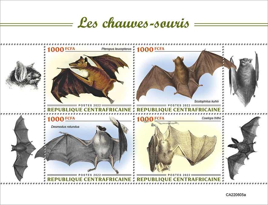Bats