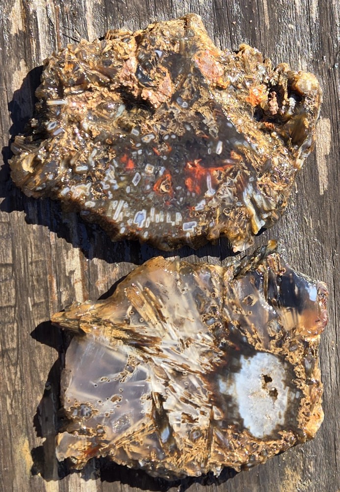 Turkish Agate Slabs Slices From One Stone Matching Lapidary Unique