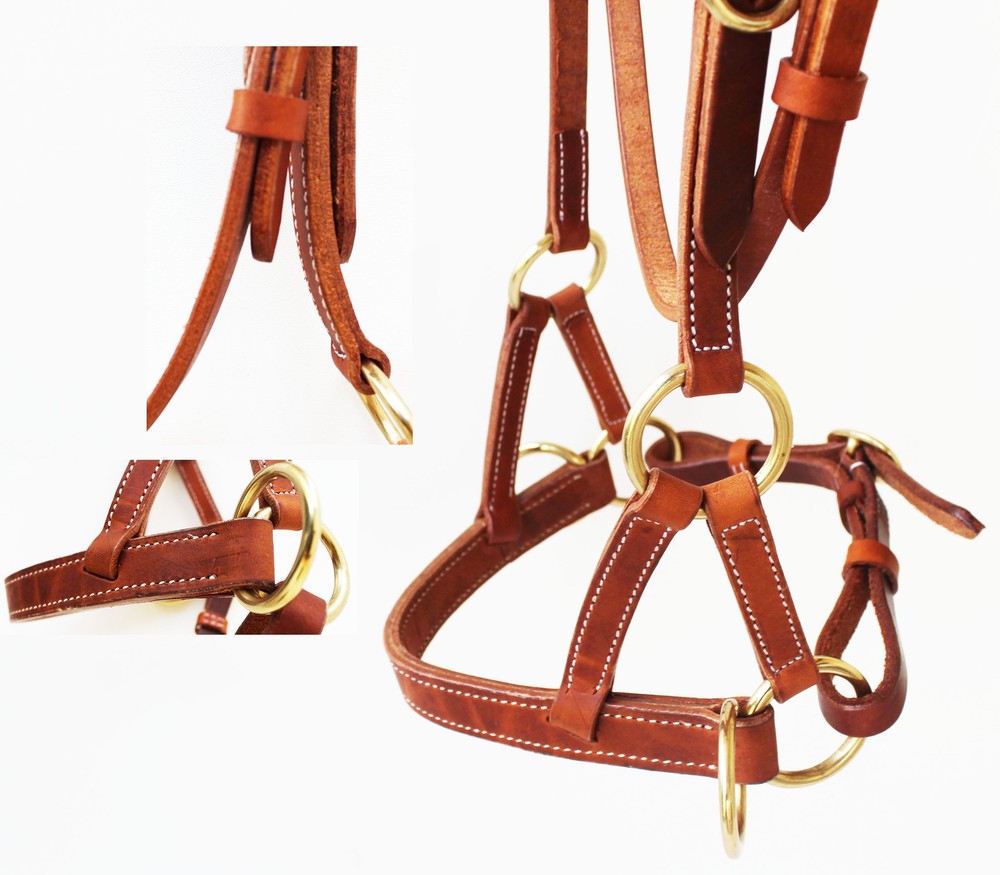 Horse Western Leather Bitless Training Aide Side Pull Bridle Brass 77RT01
