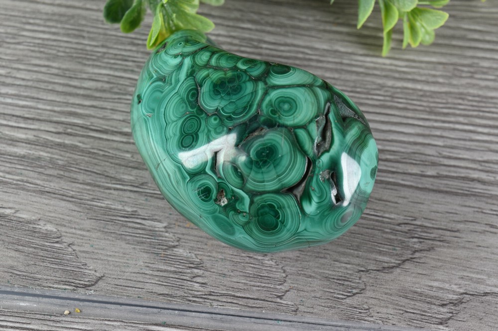 Polished Botryoidal Malachite from Congo 7.4 cm # 21897