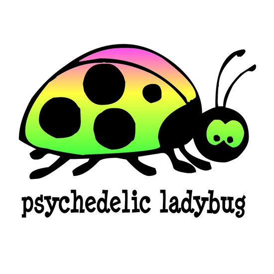 CafePress Psychedelic Ladybug Magnet 2" x 3" (193172279)